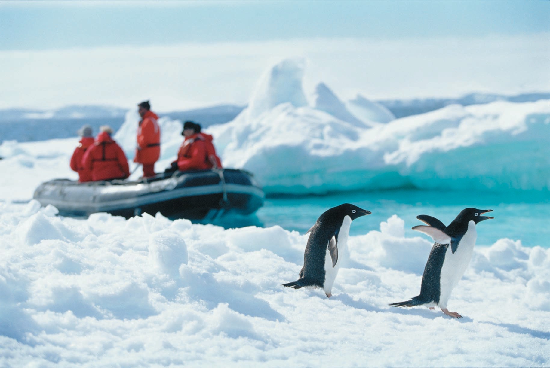 Экспедиция Антарктида Антарктика